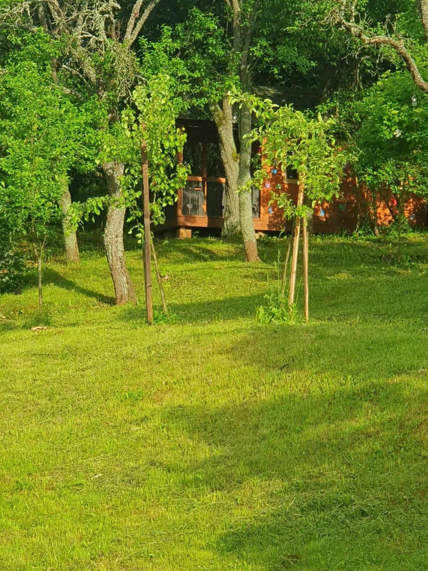 Sarika Apartment *